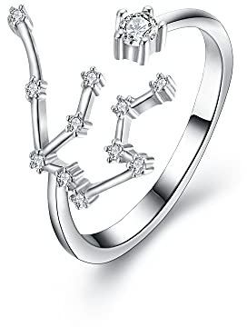 Clearine 12 Konstellation Sternzeichen Zirkonia Verstellbarer Ring für Damen Mädchen Wassermann Horoskop Sternbild Astrologie