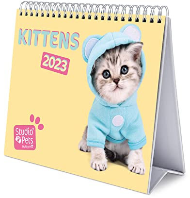 Grupo Erik Tischkalender 2023 - Studio Pets Cats Kalender - Katzen Quer Format - zum Aufstellen