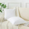 ZTYROLJ 2er Set Kissenbezug 80x80 mit Reißverschluss,Microfiber Weich Kopfkissenbezug,Atmungsaktiv Resistent Quasten Zierkissenbezüge für Sofa