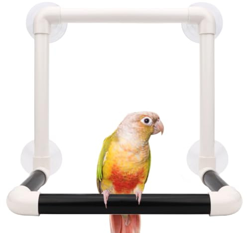 Hypeety Portable Suction Cup Bird Window and Shower Perch Toy Parrot Stand