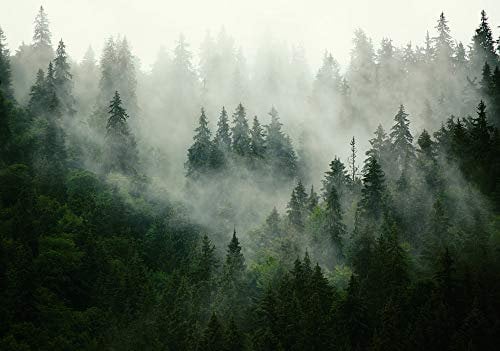 Forwall - Vlies Fototapete Wald Nebel Natur Bäume Landschaft Skandinavisch 368x254 cm - Fototapeten - Tapeten - für Wohnzimmer Schlafzimmer - Vliestapete Wandtapete Tapete 3D Effekt- inkl. Kleister