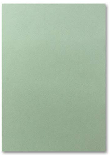 250x A4 Carton-carte - couleur: eucalyptus (vert) - 210 x 297 mm - 240 g/m² - Papier tonique Carton photo Papier de bricolage Carton d'argile - FarbenFroh by GUSTAV NEUSER