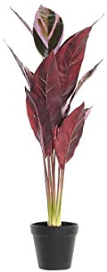DKD Home Decor Planta Decorativa, Polietileno, Rosa, Verde, Estándar
