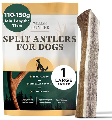 William Hunter Deer Antlers for Dogs - Naturally Shed Antler Chews for Dogs, Long Lasting & Nutritious Antler Dog Chews that Promote Dental Health with No Foul Smell (1 Large Split)