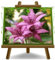 Clematis große rosa Blüten - Kletterpflanze - pflanze auf Blumentopf 11 - maximale Größe 60 cm