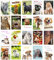 Edition Seidel Set 20 exklusive Premium Geburtstagskarten mit Umschlag. Glückwunschkarte Grusskarte zum Geburtstag. Geburtstagskarte Katzen Hunde Tiere Karten Billet Happy Birthday (SW02)