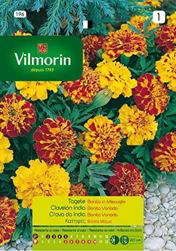 Semillas de CLAVELON INDIABONITA FLORES S-1, 1,5 gr