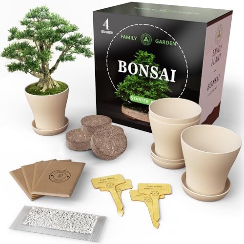 CROLY - Kit Bonsai Principiantes Completo - Árbol bonsái Fácil de Cuidar con Herramientas de Bonsái Principiantes y Guía Cuidado Bonsái - Set de Principiantes Paso a Paso Indoor