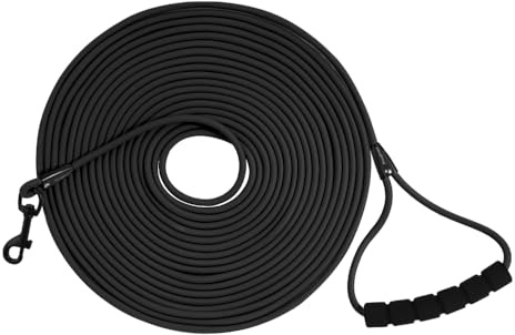 Laisse Longe pour Chien, Longue Laisse de Dressage pour Chien d'extérieur, Laisse avec Poignée et Sac de Rangement Longue Corde, Laisse Longue Robuste (Noir, 10 M)