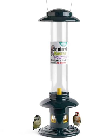 Squirrel Proof Bird Feeder for Seeds - Jacobi Jayne® Squirrel Buster® Evolution – Metal Hanging Station for Garden Birds – Easy to Clean, Pigeon Resistant, Wild Bird Feeding Station