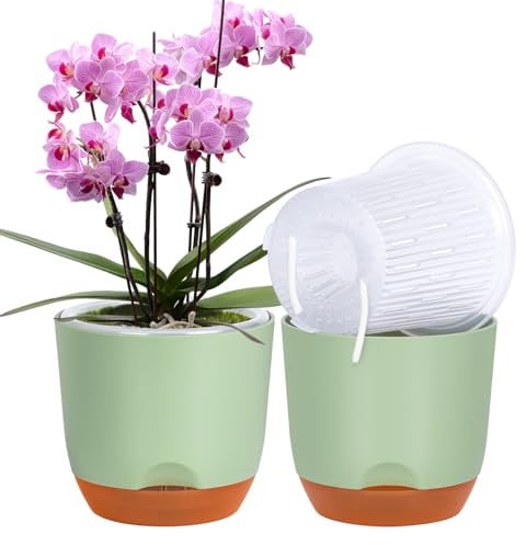 QCQHDU 2Pack orchid pots,7.2In large self watering orchid plant pots indoor, Clear Plastic Pots with Holes and Detachable Water Reservoir(green)