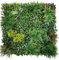 Tuda Grass Direct Artificial Living Green Wall Panel Decoration for Indoor & Outdoor Realistic Plastic Plants - 1m X 1m - Botanical