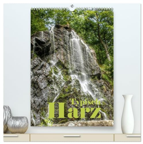 Typisch Harz (hochwertiger Premium Wandkalender 2026 DIN A2 hoch), Kunstdruck in Hochglanz: Eindrücke aus dem schönen Mittelgebirge (CALVENDO Natur)