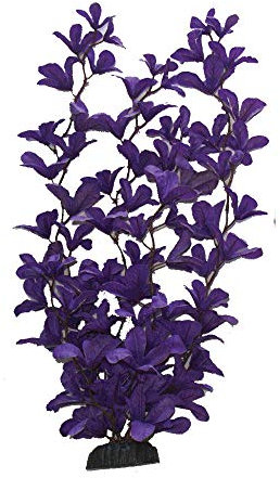Purple Rotala Silk Like Plant 30cm by KenKoi