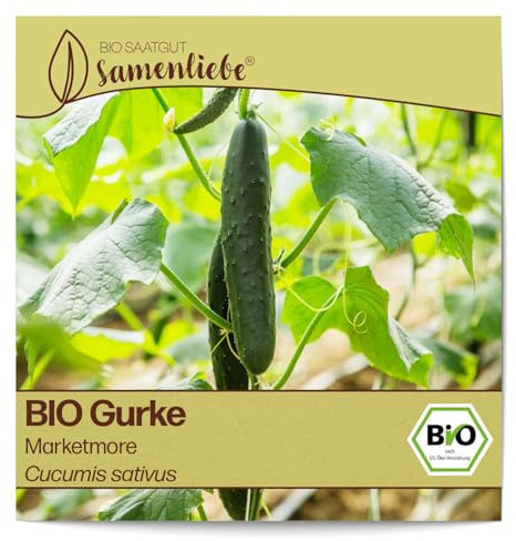 Samenliebe BIO Gurken Samen alte Sorte Marketmore Freilandgurke Salatgurke grün 10 Samen samenfestes Gemüse Saatgut für Gewächshaus Freiland und Balkon BIO Gemüsesamen