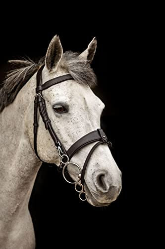 Equipride Working Hunter Bridle with Quick Release Snap Hooks Removable Flash (Cob, Black)