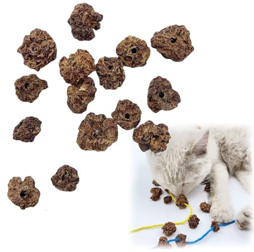 15PCS Dried Silvervine Gall Fruit with Perforated,Natural Silver Vine Cat's Teeth Cleaning,Open Hole Gall Fruit Cat Chew Toy,Gall Fruit Kitten Teething Toys Increase Appetite,Cat Sticks Regulate Mood