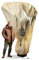 Bio Green Premium Kübelpflanzensack Window Mammut | 360 x 250cm | Frostschutz & Winterschutz | Schutzhülle Kübelpflanzen +Sichtfenster | Pflanzenschutz