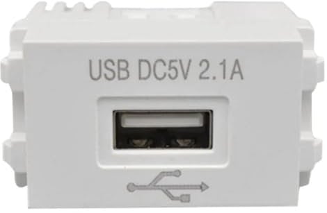 BLASHRD USB Power Module 220V Socket 5V Transformer 2.1A USB Charging Power Socket Switching Adapter 1 PCS