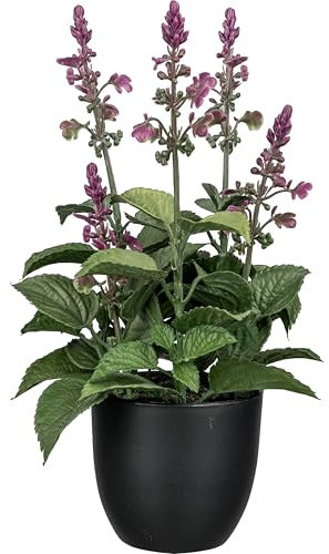 CREATIV green künstlicher Salbei 28cm im Topf I künstlicher Salbei-Strauch als Dekoration I naturgetreuer Salbei wie echt mit pinken Blüten I hochwertige Kunstpflanzen I Künstliche Kräuter Küche