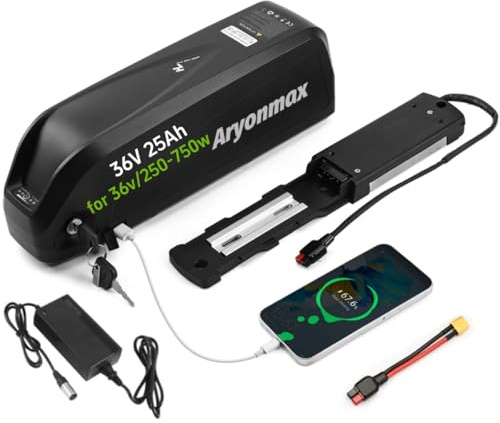 Batteria Ebike, 36V 48V 25Ah 25Ah 13Ah Batteria Litio Hailong Bici Elettrica con Caricabatterie/Piastra Base 4Pin o 5Pin / Cella Grado A (36V 25Ah 5-Pin,+USB)