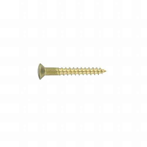 100 Vis Bois tête fraisée bombée fendue DIN95 Laiton - diamètre 2,5 mm - Longueur 20 mm