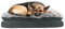 Paws & Claws Arlee Hundebett, rechteckig, orthopädisch, therapeutisch, zusammengebaut USA, Größe L/XL, Anthrazit