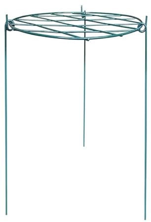 MantraRaj Plant Stand Ring Support Iron Round Plant Support With Grid for Outdoor Plants Stakes With 3 Legs Plant Cage Grow Through Grid Flowers Peonies Tomato Rose Vine (60CM)