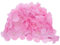 DOITOOL Bonnet De Bain À Fleurs Bonnet De Bain À Pétales Roses pour Femmes Bonnets De Bain À La Mode Bonnets De Bain Confortables pour Femmes Filles Protection des Cheveux Longs/Courts