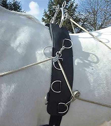 Waldhausen - Poêle à Gaz de Pétrole Liquifié, Modèle Felix Brasseur, Spécial Longues Rênes, Taille Poney, Matériau Nylon, Compatible avec du Bois