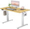 SMUG Stehpult, höhenverstellbar, elektrisch, zum Sitzen, Stehen, Computertisch, ergonomisch, für Arbeit, Büro, Zuhause, moderner Hebebüro, Gaming-Desktop-Arbeitsplatz, 122 x 61 cm, Ahorn