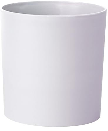 Macetas de cerámica cilíndricas con agujero para plantas decorativas pequeñas para plantas de interior y exterior, decoración del hogar, 2 para plantas (blanco, A)