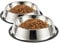 WEDAWN Hundenäpfe 2 Stück, Edelstahl Haustier Fütterung Wassernapf mit Rutschfester Silikonsohle, Katzennapf perfekt für kleine/mittelgroße/große Hunde, Katzen, Kätzchen, Welpen und Kaninchen