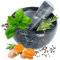 KADAX Mortier de cuisine avec pilon, mortier en pierre, bol de guacamole, mortier à herbes, broyeur en pierre, mortier à épices pour coriandre, cardamome (gris, diamètre 14 cm)