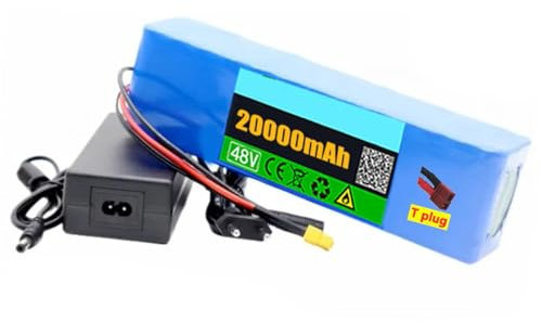 Batterie Lithium-ION 48V 20Ah 13S3P pour vélo électrique avec Chargeur Protection BMS intégrée Idéale pour Moteur de vélo électrique 200-2000 W T Plug,48V 20Ah