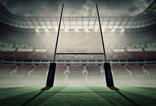 Papier Peint poster panoramique STADE DE RUGBY 4 x 2,70 m | Déco et photo murale XXL Qualité HD Scenolia