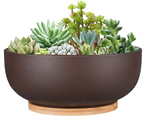tacery Maceta de Terracota, Macetas de Arcilla de Terracota para jardinería con Orificio de Drenaje, Macetas de vivero con jardineras Florales para Jardines, Patios, Balcones