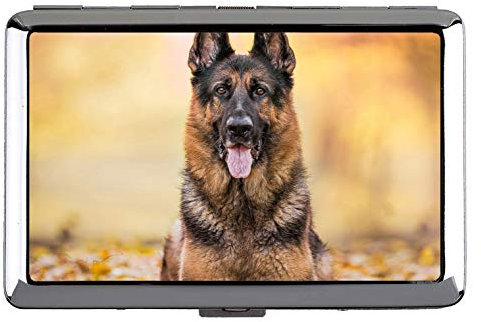 Visitenkartenetui Brieftasche, Damen Tierpanda Visitenkartenetui Visitenkartenetui (Edelstahl)