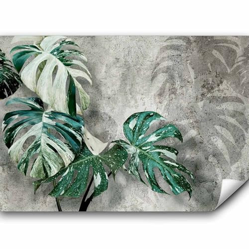 murando - Vlies Fototapete Monstera Variegata 350x256cmVlies Tapeten Wandtapete XXL Wanddeko Design Wand Dekoration Wohnzimmer Schlafzimmer Natur Botanik Pflanzen Thai Constelation b-C-0893-a-a
