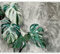 murando - Vlies Fototapete Monstera Variegata 350x256cmVlies Tapeten Wandtapete XXL Wanddeko Design Wand Dekoration Wohnzimmer Schlafzimmer Natur Botanik Pflanzen Thai Constelation b-C-0893-a-a