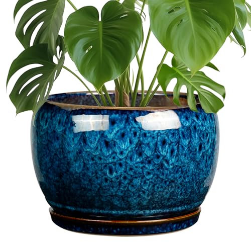 SQOWL 25,4 cm Pflanztopf – Keramik Pflanztopf mit Drainageloch und Untersetzer, dekorativer Pflanztopf für Innen- und Außenbereich, runder großer Übertopf Blumentopf, Blau