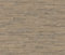 Rasch Tapete 537031 - Vliestapete in Hellbraun mit Holzoptik aus der Kollektion Curiosity - 10,05m x 0,53m (LxB)