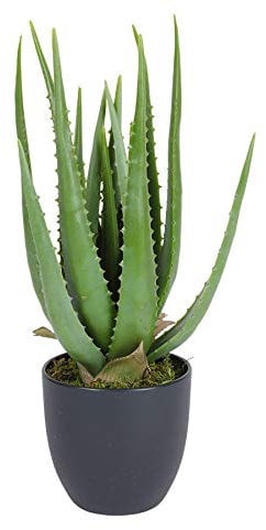 Spetebo Aloe Vera Kunstpflanze im Topf - 45 cm - Deko Pflanze Zimmerpflanze künstlich