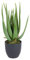 Spetebo Aloe Vera Kunstpflanze im Topf - 45 cm - Deko Pflanze Zimmerpflanze künstlich