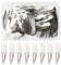 NATUCE 50 Stück Haarspangen Silber, 5CM Haarspangen Mädchen, Haarclips Werden, Kinder Haarklammern, Haar Clips Metall, Haarschmuck Hairclips, Haarspange für Mädchen, Kinder und Damen (Silber)