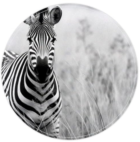 FVQL Teppich, maschinenwaschbar, für Wohnzimmer, Heimdekoration, afrikanisches Muster, Cartoon-Zebra, 40 x 40 cm