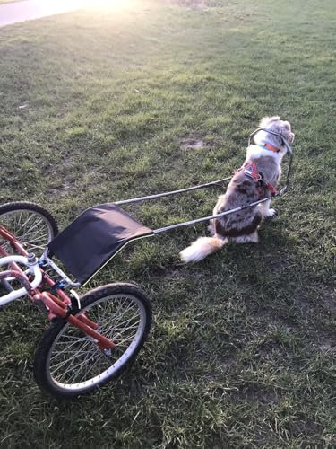 Saccocart Pulka Hundewagen Zugstange Regenschutz Spritzschutz (Schwarz/Neonschwarz)