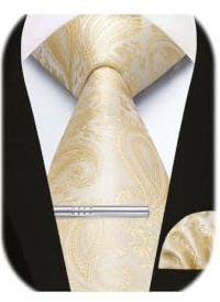 Enlision Herren Krawatten und Einstecktuch krawattenklammer Set Paisley Karierte Krawatte Taschentuch Krawattennadel Für Männer Business Hochzeit Tie Sets
