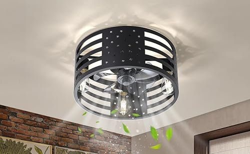 Industrial Caged Ceiling Fan with Lights and Remote Vintage Style Fan Light with 6 Speeds DC Motor and Timer for Living Room Kitchen Bedroom Farmhouse (Black)