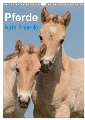 Pferde Gute Freunde (Wandkalender 2026 DIN A3 hoch), CALVENDO Monatskalender: Wunderbare Pferdefotos begleiten Sie durch das Jahr! (CALVENDO Tiere)